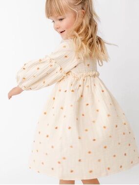 Alice + Ames Bodie Dress Pumpkin Spice Muslin Fall Pumpkin Dress 4t